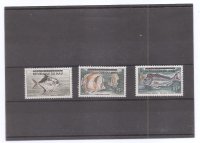 MALI DEL AÑO 1961 FAUNA MARINA