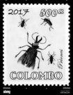 INSECTOS