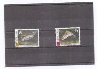 VENEZUELA DEL AÑO 1968 FAUNA MARINA