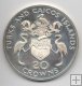 TURKS I CAICOS DEL AÑO 1974 DE 20 CROWS