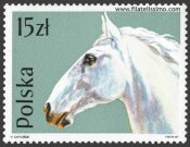 CABALLOS